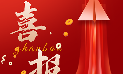 喜讯|中国石油天然气集团有限公司2024年通用仪器仪表（分析仪器）集中采购项目，9728太阳集团有毒气体探测器榜首中标