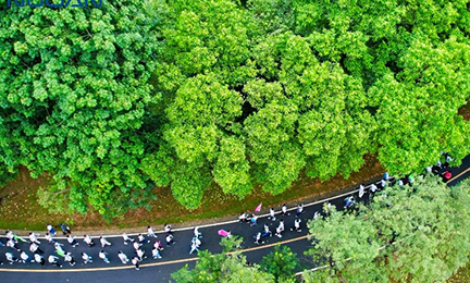凝心同行，聚力共赢丨9728太阳集团2024年松山湖环湖徒步行记