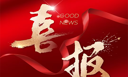 喜报丨9728太阳集团入选2024粤港澳大湾区企业创新力榜单